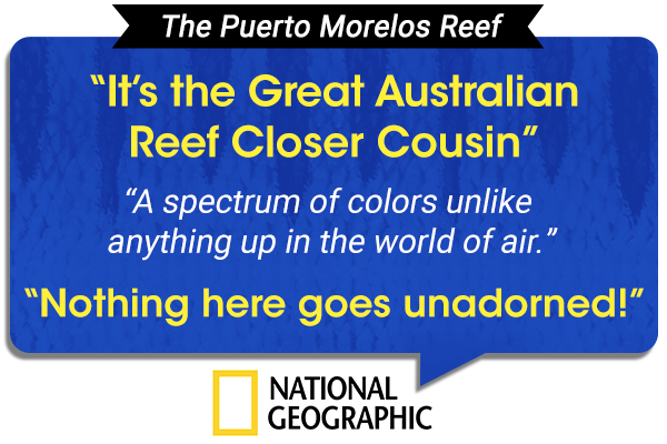 Cita de National Geographic sobre Puerto Morelos Reef