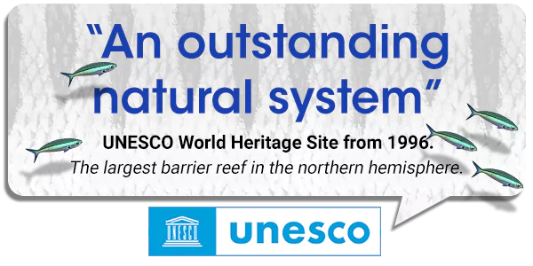 Citas de la UNESCO sobre Mesoamerican Reef un sistema extendido