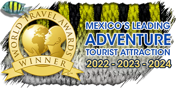 Ganador de los World Travel Awards 3 años consecutivos