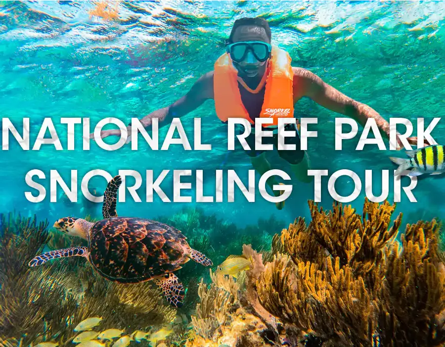 national reef park of puerto morelos snorkeling tour