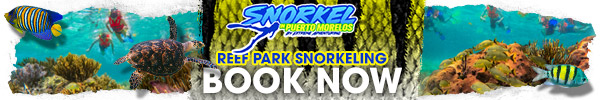 reef-park-snorkeling-tour-book-now-banner