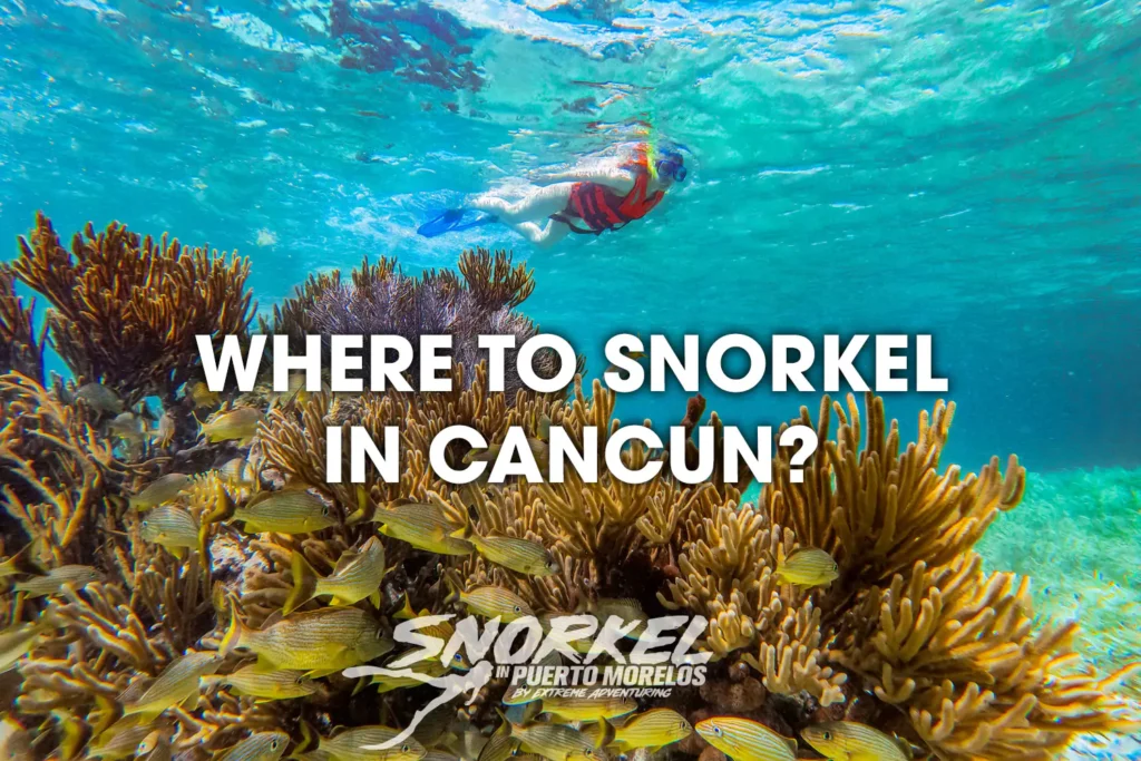 snorkeling-in-cancun-best-places