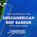 why-snorkeling-in-the-mesoamerican-reef-is-the-best-option