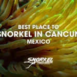 Best-place-to-snorkel-in-Cancun-Mexico