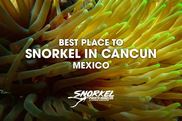 Best-place-to-snorkel-in-Cancun-Mexico