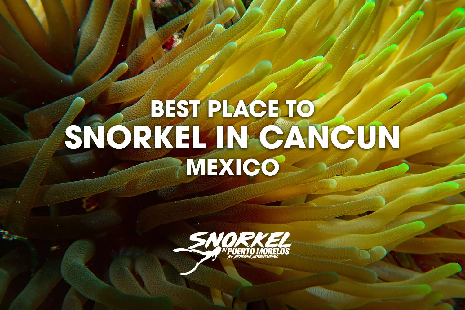 Best-place-to-snorkel-in-Cancun-Mexico