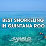 best-snorkeling-in-quintana-roo