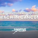 Can-you-snorkel-off the-beach-in-Cancun