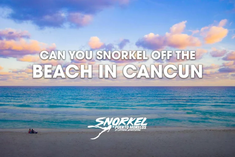 Can-you-snorkel-off the-beach-in-Cancun