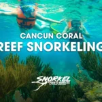 Cancun-coral-reef-snorkeling