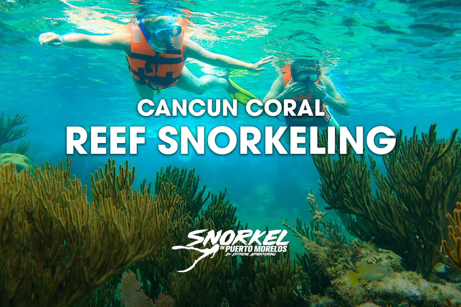 Cancun-coral-reef-snorkeling