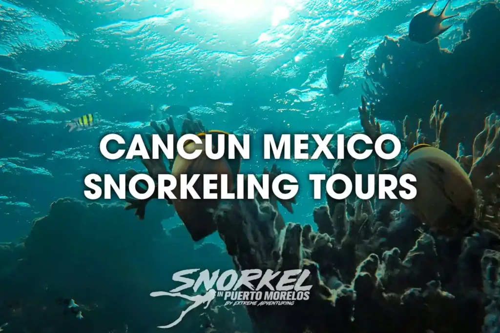 cancun-mexico-snorkeling-tours