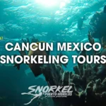 cancun-mexico-snorkeling-tours