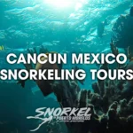 private-snorkeling-cancun