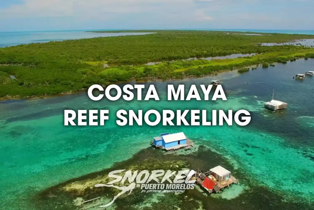 costa-maya-reef-snorkeling