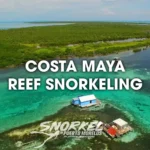 costa-maya-reef-snorkeling