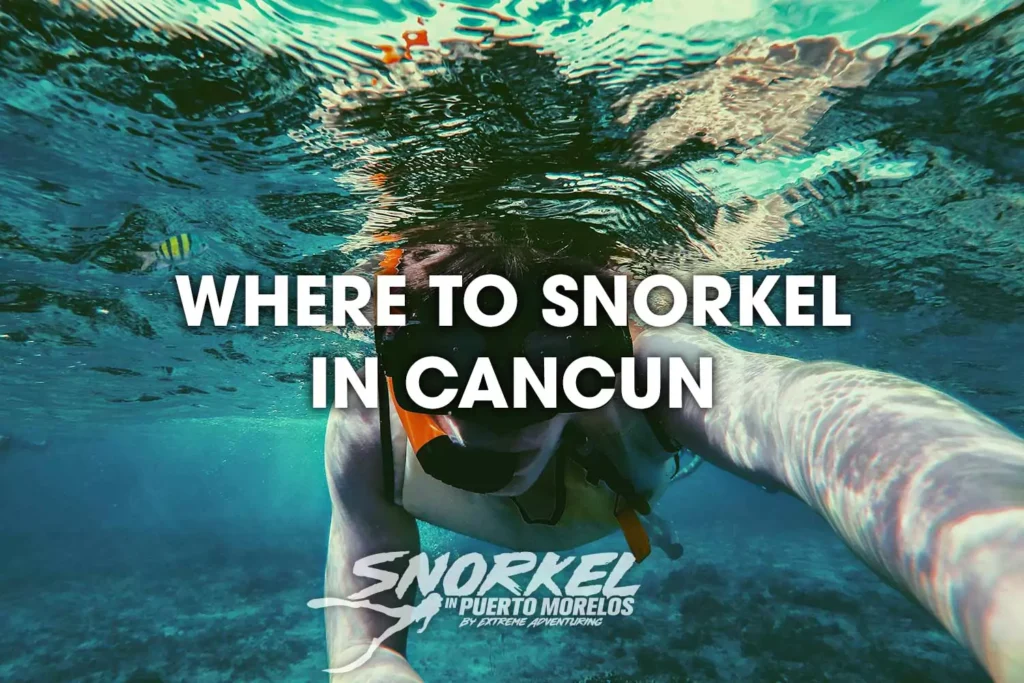 where-to-snorkel-in-Mexico