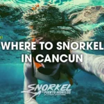 where-to-snorkel-in-Mexico