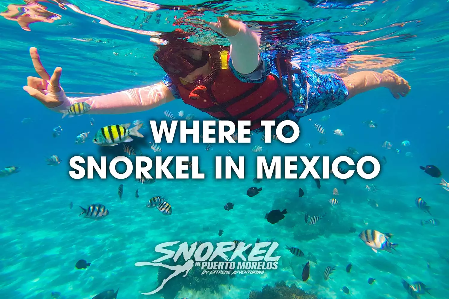 where-to-snorkel-in-Mexico