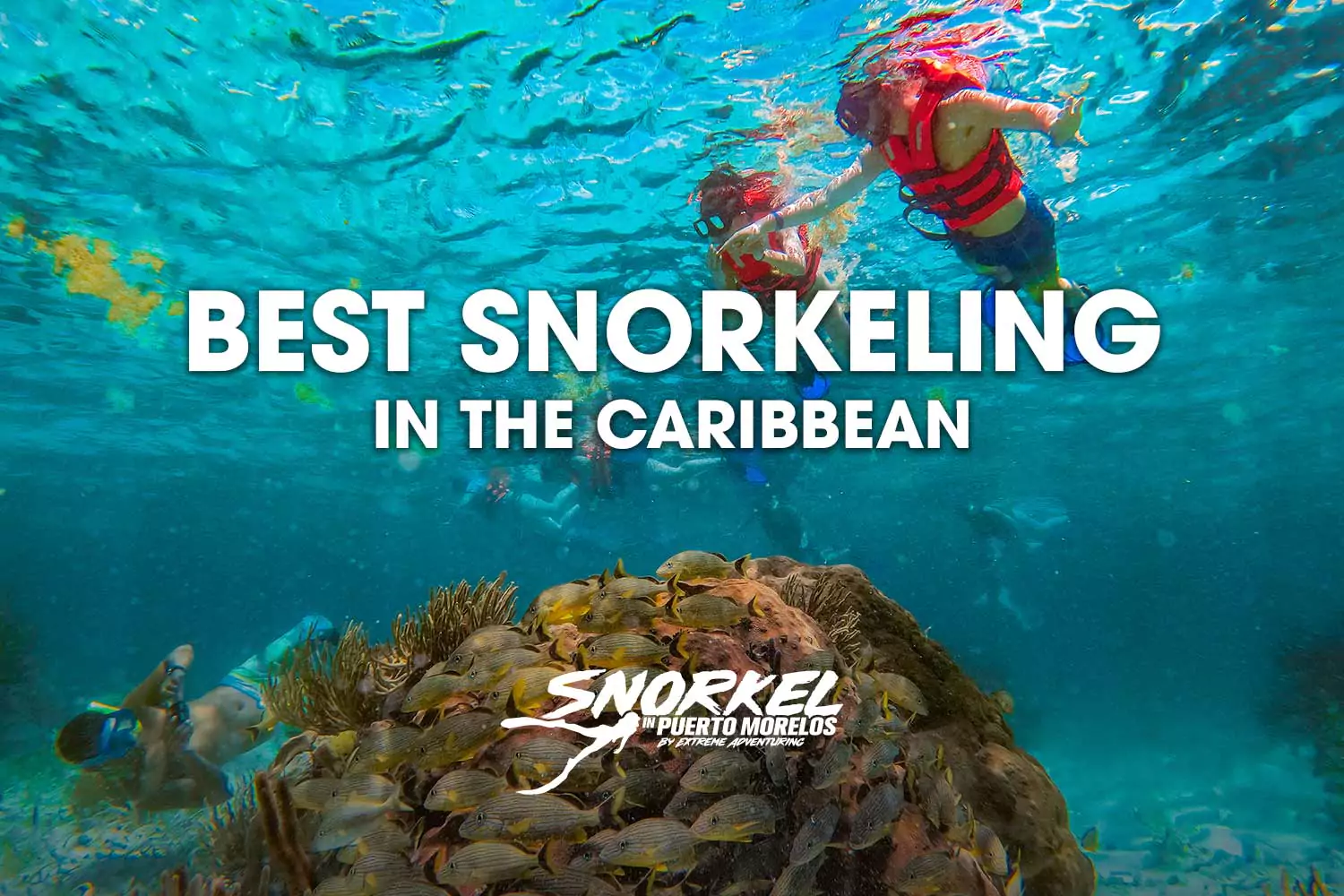 best-snorkeling-in-the-caribbean