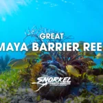 great-maya-barrier-reef