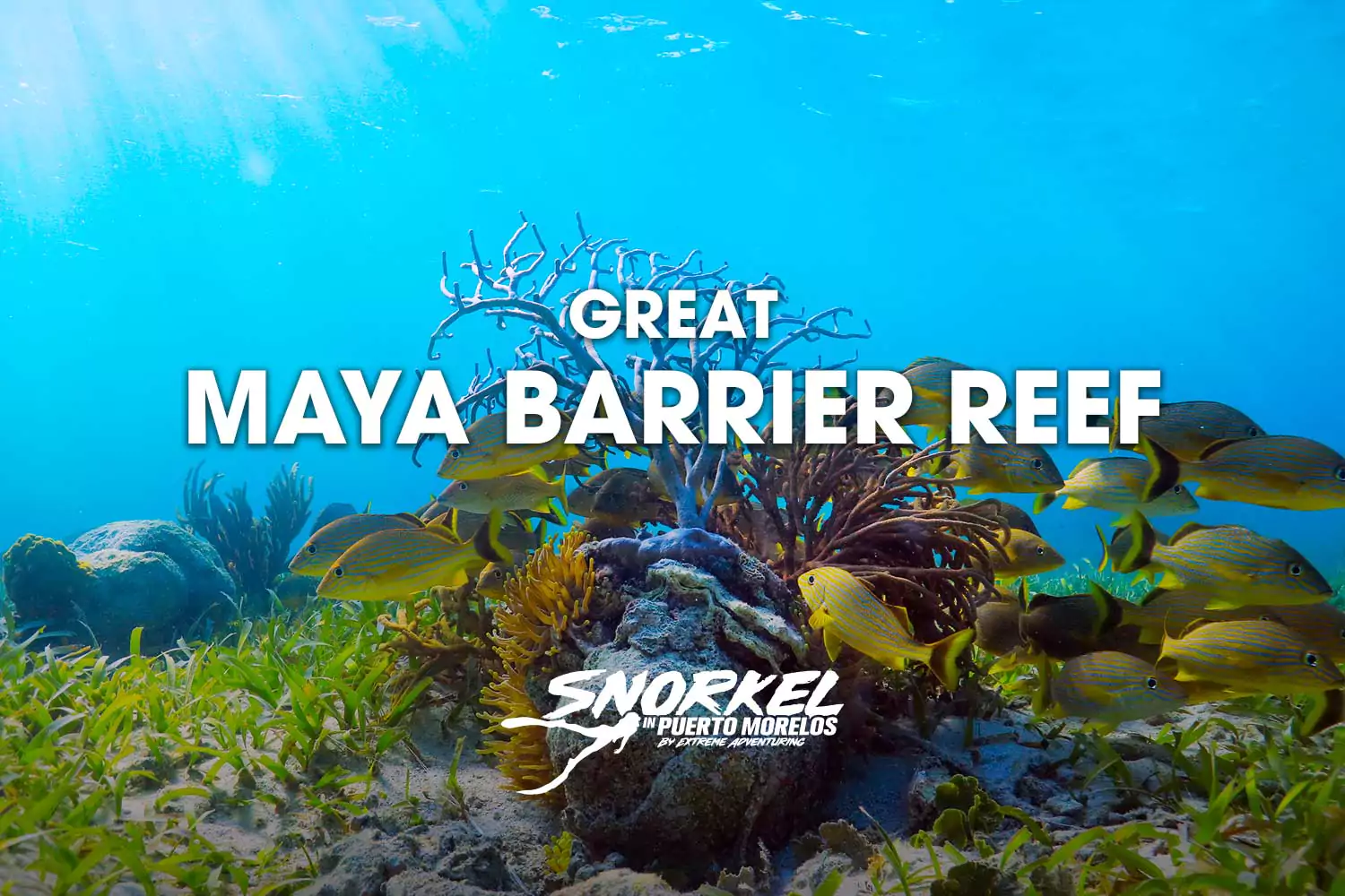 great-maya-barrier-reef