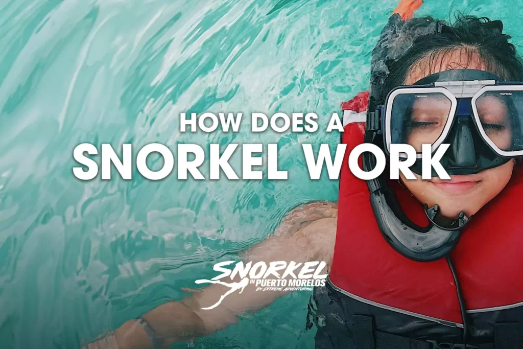 how-does-a-snorkel-work