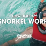 how-does-a-snorkel-work