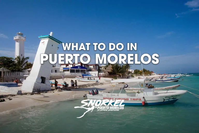 what-to-do-in-puerto-morelos