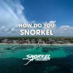 how-do-you-snorkel