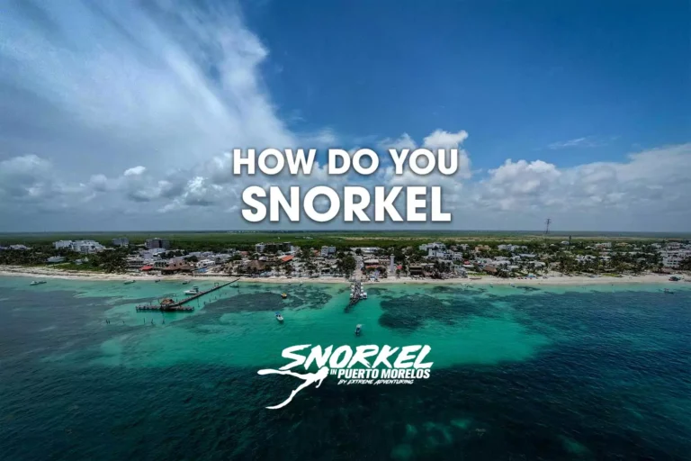 how-do-you-snorkel