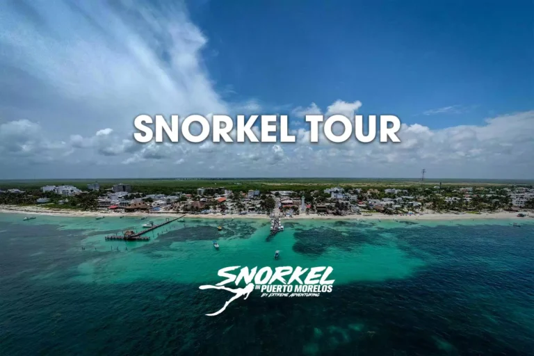 snorkel-tour