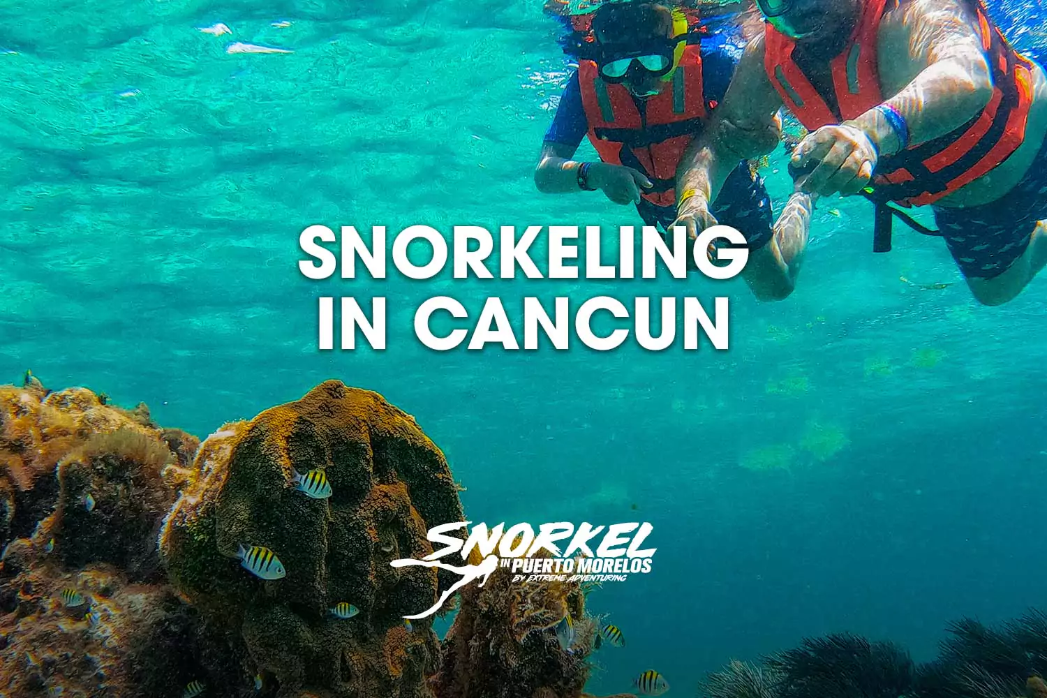 snorkeling-in-cancun