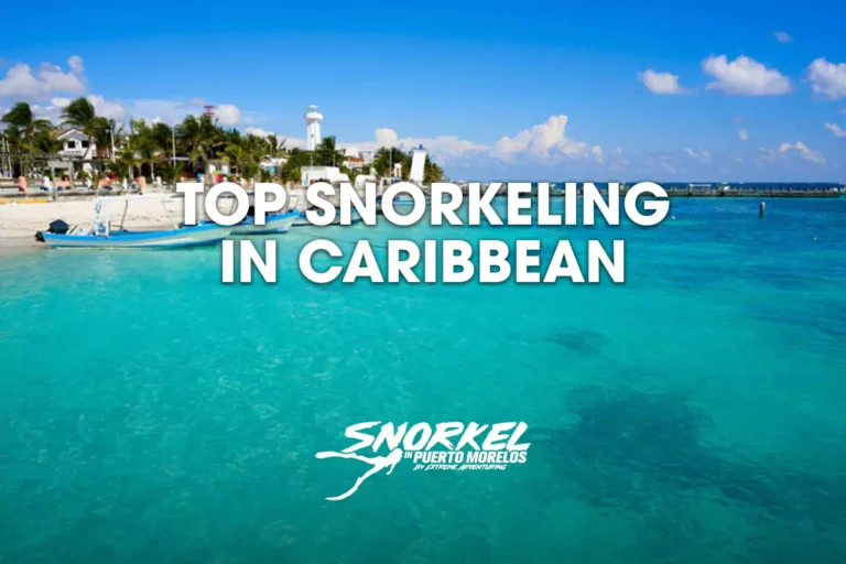 top-snorkeling-in-caribbean