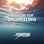 best-time-for-snorkeling