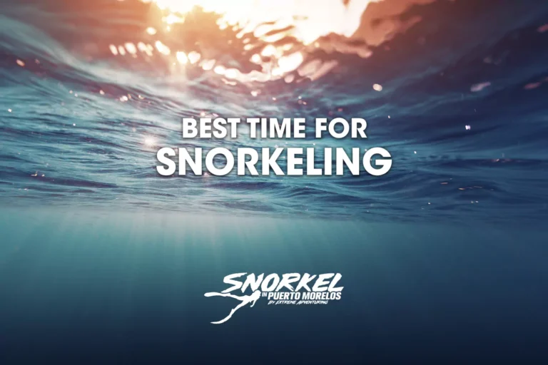 best-time-for-snorkeling