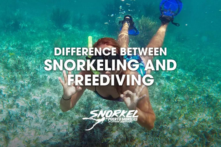 difference-between-snorkeling-and-freediving