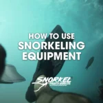 how-to-use-snorkeling-equipment