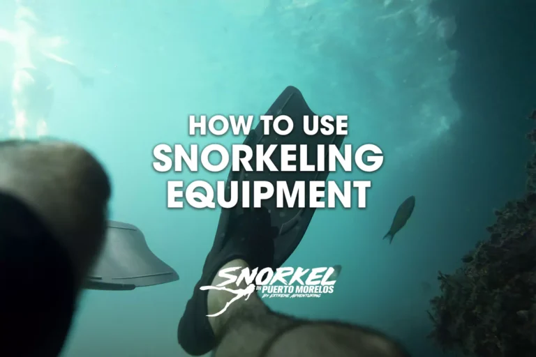 how-to-use-snorkeling-equipment