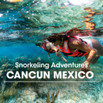 Snorkeling Adventures Cancun Mexico