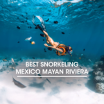 Best Snorkeling Mexico Mayan Riviera