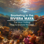 Snorkeling in the Riviera Maya: The Most Thrilling Way to Explore the Reef