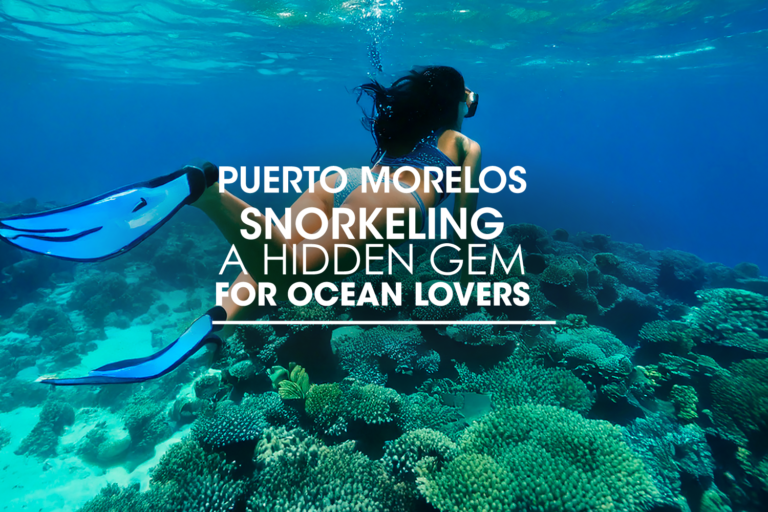 Puerto Morelos Snorkeling: A Hidden Gem for Ocean Lovers