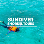 Sundiver Snorkel Tours