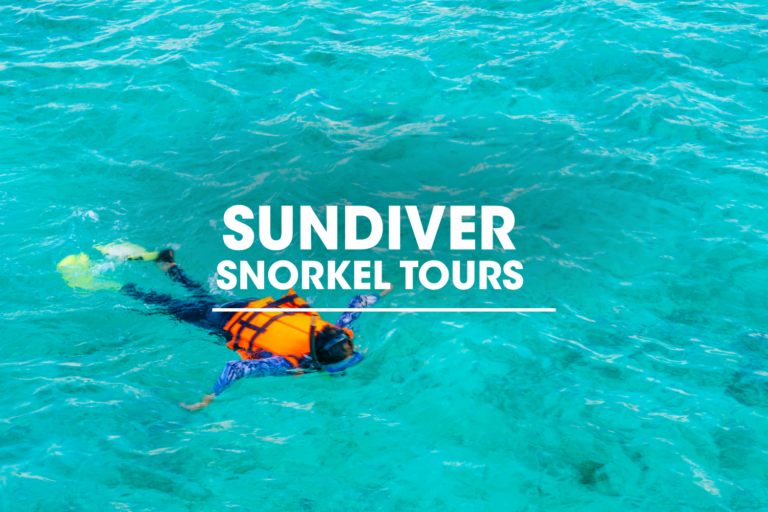 Sundiver Snorkel Tours