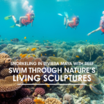 Snorkeling in Riviera Maya with Reef: Swim Through Nature’s Living Sculptures