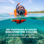 Reef Snorkeling in Cancun: Discover the Colors Beneath the Waves