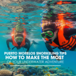 Puerto Morelos Snorkeling Tips: How to Make the Most of Your Underwater Adventure
