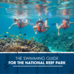 The swimming guide for the National Reef Park
