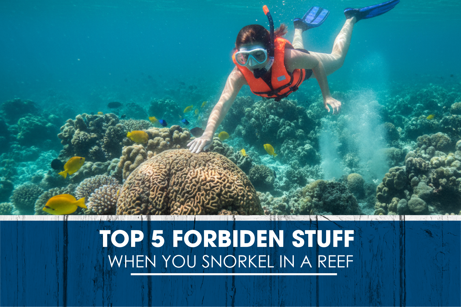 Puerto Morelos Snorkeling: Top 5 forbiden stuff when you snorkel in a reef